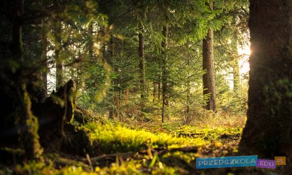 Lublin: spektakl „Wywrócona bajka o Kapturku”