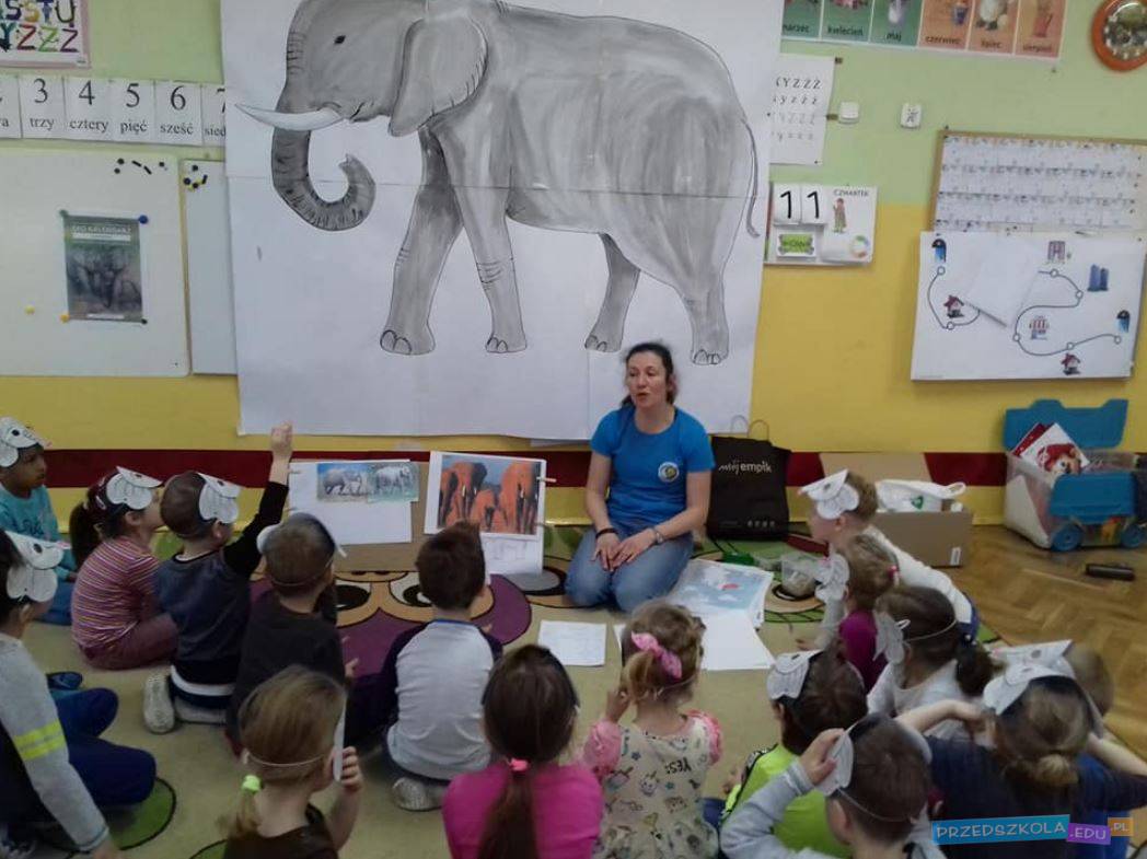 Przedszkole Kraina Uśmiechu