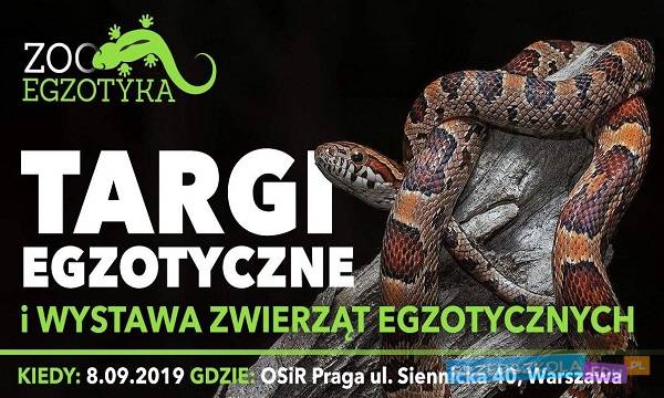 Warszawa: Targi egzotyczne i wystawa zwierząt egzotycznych