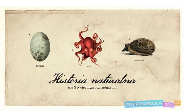 Lublin: premiera w Teatrze Andersena „Historia naturalna...”