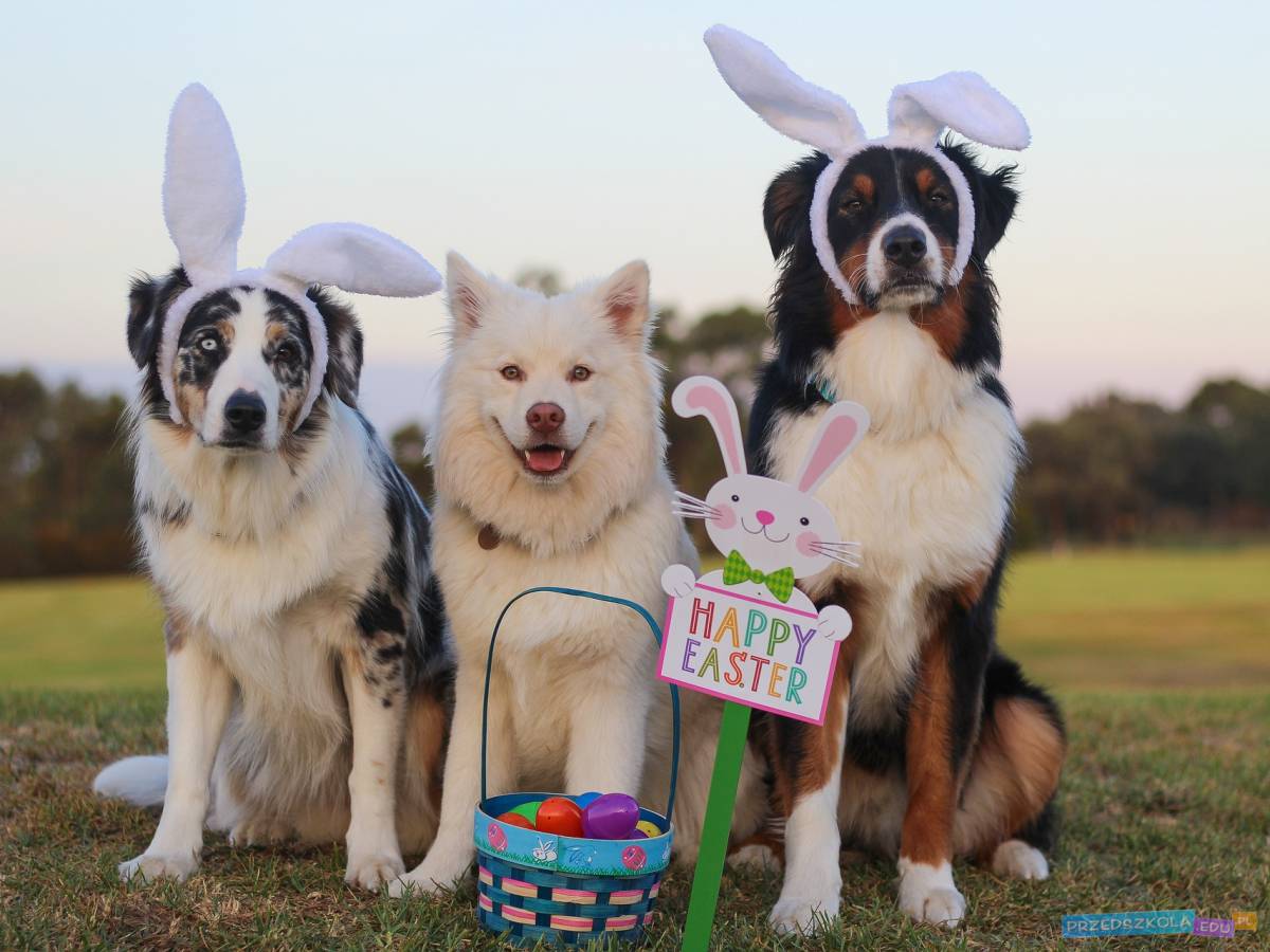 Easter-Wielkanoc - scenariusz zajęć z języka angielskiego w przedszkolu