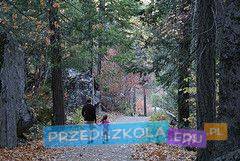 Znaczenie spacerów i wycieczek dla rozwoju przedszkolaków