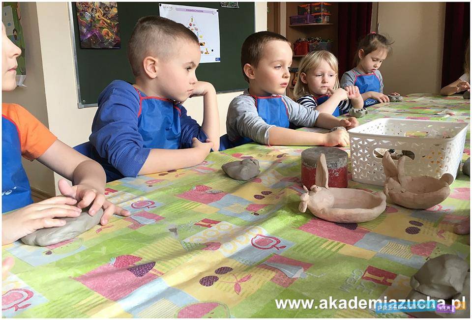 Przedszkole Akademia Zucha