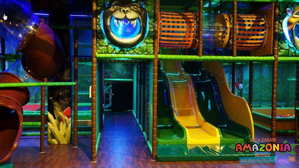 Sala Zabaw Amazonia