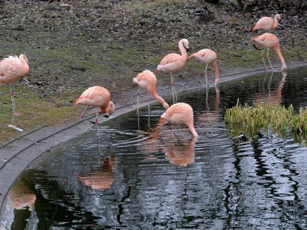 ZOO Warszawa