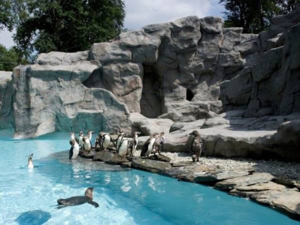 ZOO Kraków