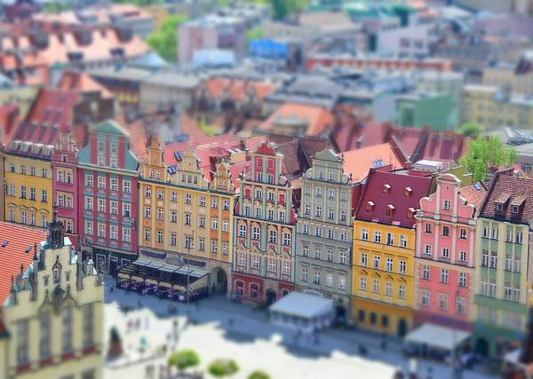 Wrocław: warsztaty „Syreny. Fakty i mity”