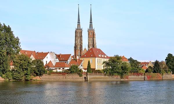 Wrocław: warsztaty „Dlaczego drewno olchy ma kolor czerwony?”
