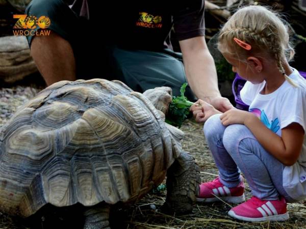 ZOO Wrocław