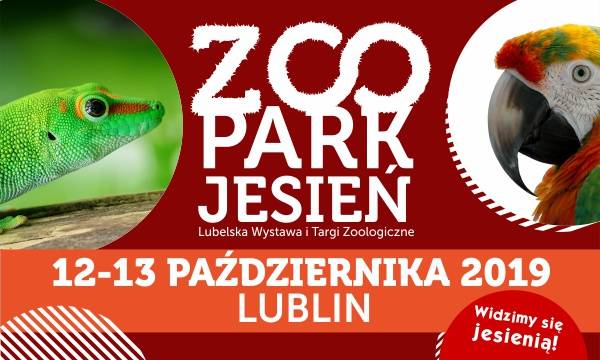 Lublin: ZOOPARK Jesień 2019