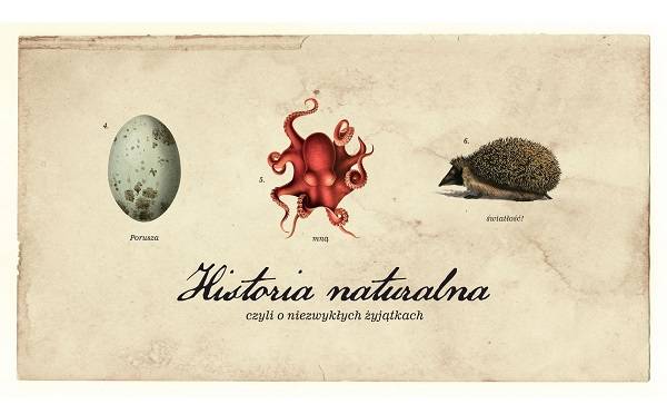 Lublin: premiera w Teatrze Andersena „Historia naturalna...”
