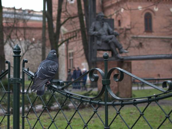 Wirtualny spacer z przedszkolakiem po Plantach w Krakowie