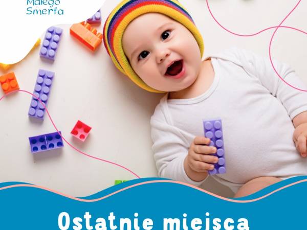 Prywatny Żłobek AKADEMIA MAŁEGO SMERFA