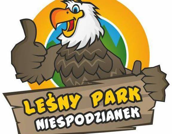 Leśny Park Niespodzianek