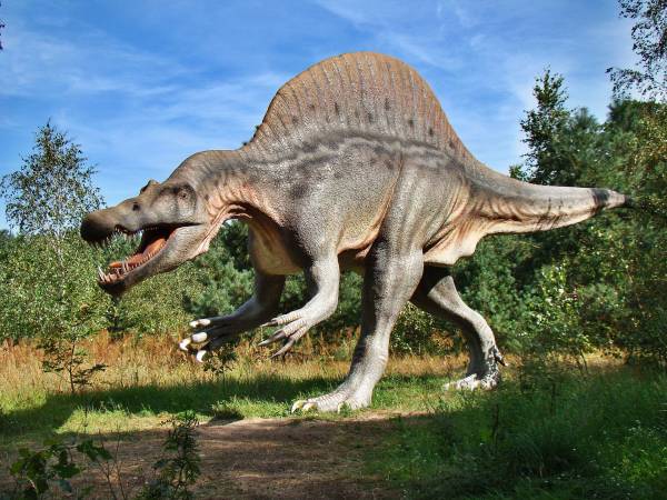 W świecie dinozaurów - konspekt zajęć z zakresu edukacji ruchowej
