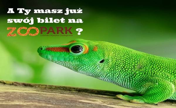 KONKURS: Wygraj bilety na Lubelską Wystawę ZOOPARK!